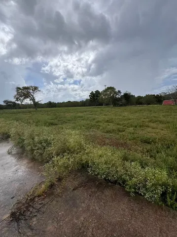 a view of a field with an trees