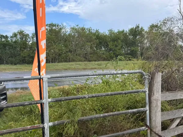 a view of a balcony with a tree