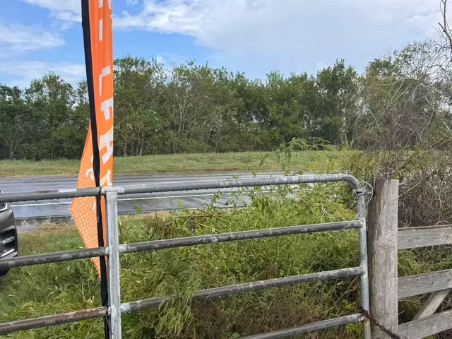 a view of a balcony with a tree