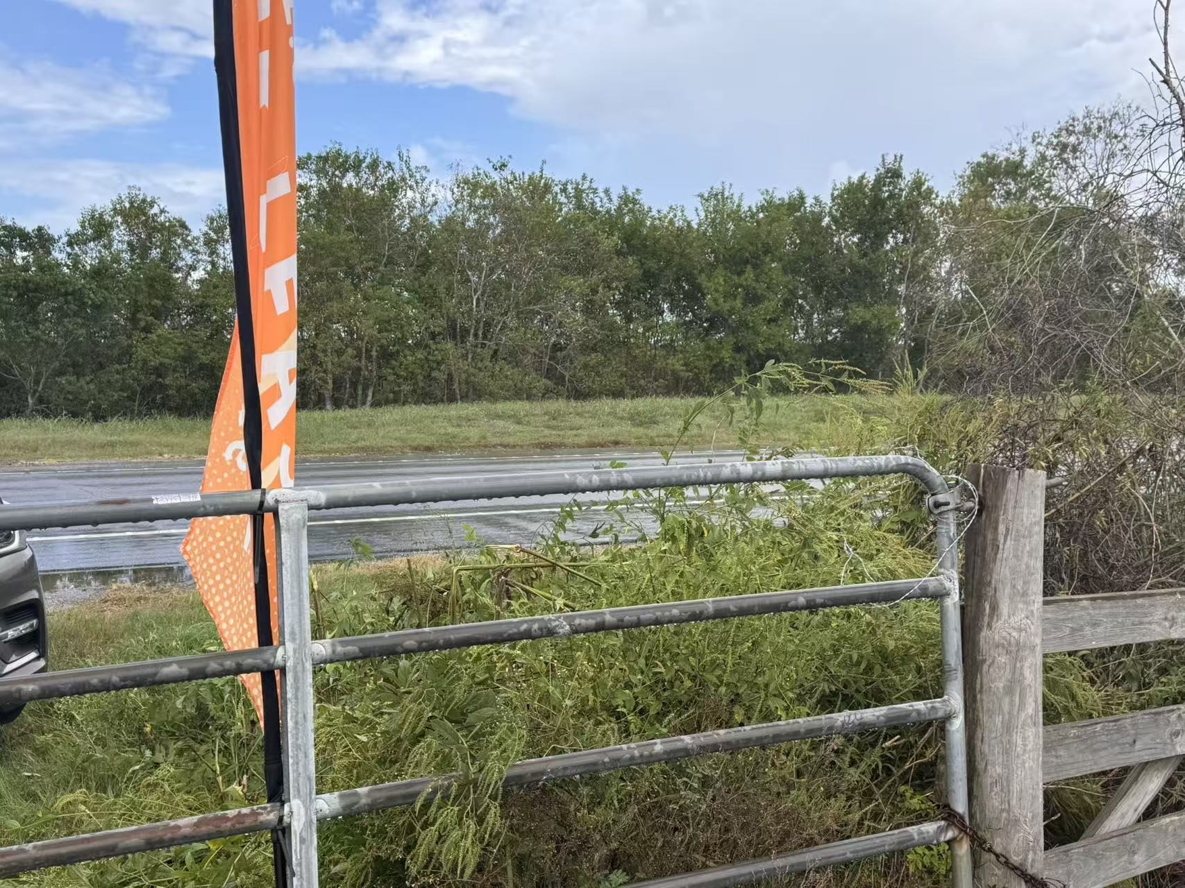 0 Fm 521 Highway North Rosharon, TX 77583 - Photo 3 of 24 a view of a balcony with a tree