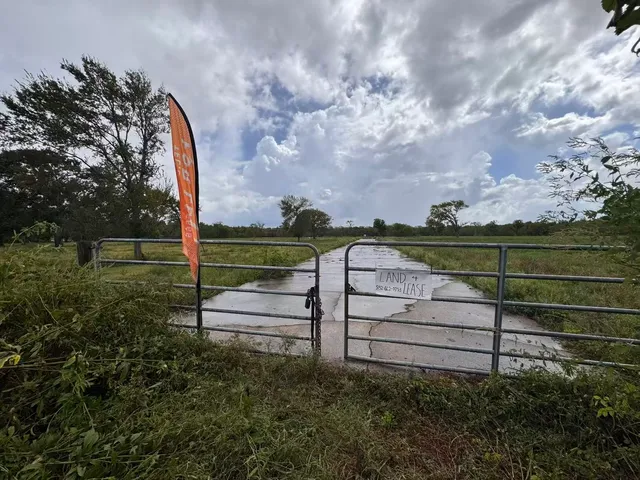 a view of a park with large trees