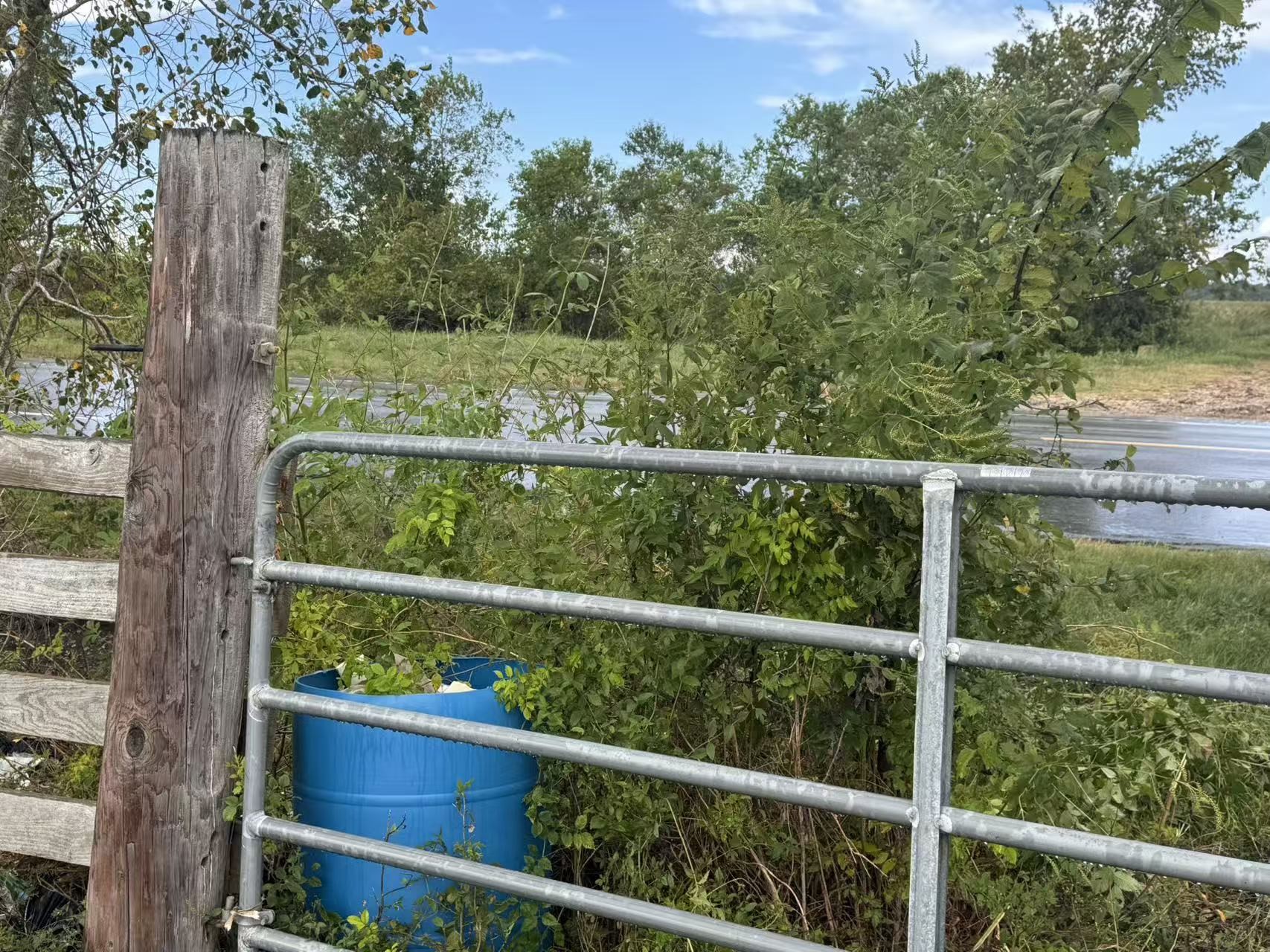 0 Fm 521 Highway North Rosharon, TX 77583 - Photo 7 of 24 a view of a wooden fence