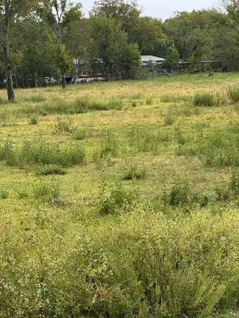 a view of a field with trees in the background