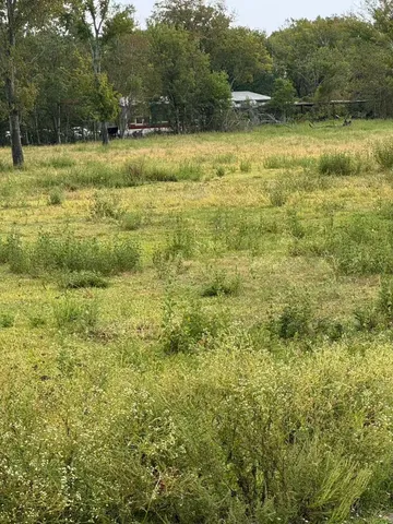 a view of a field with trees in the background