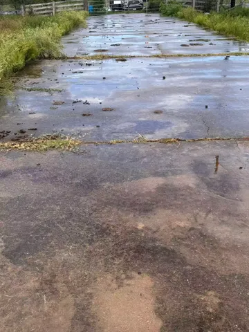 a view of a dry yard with wooden floor