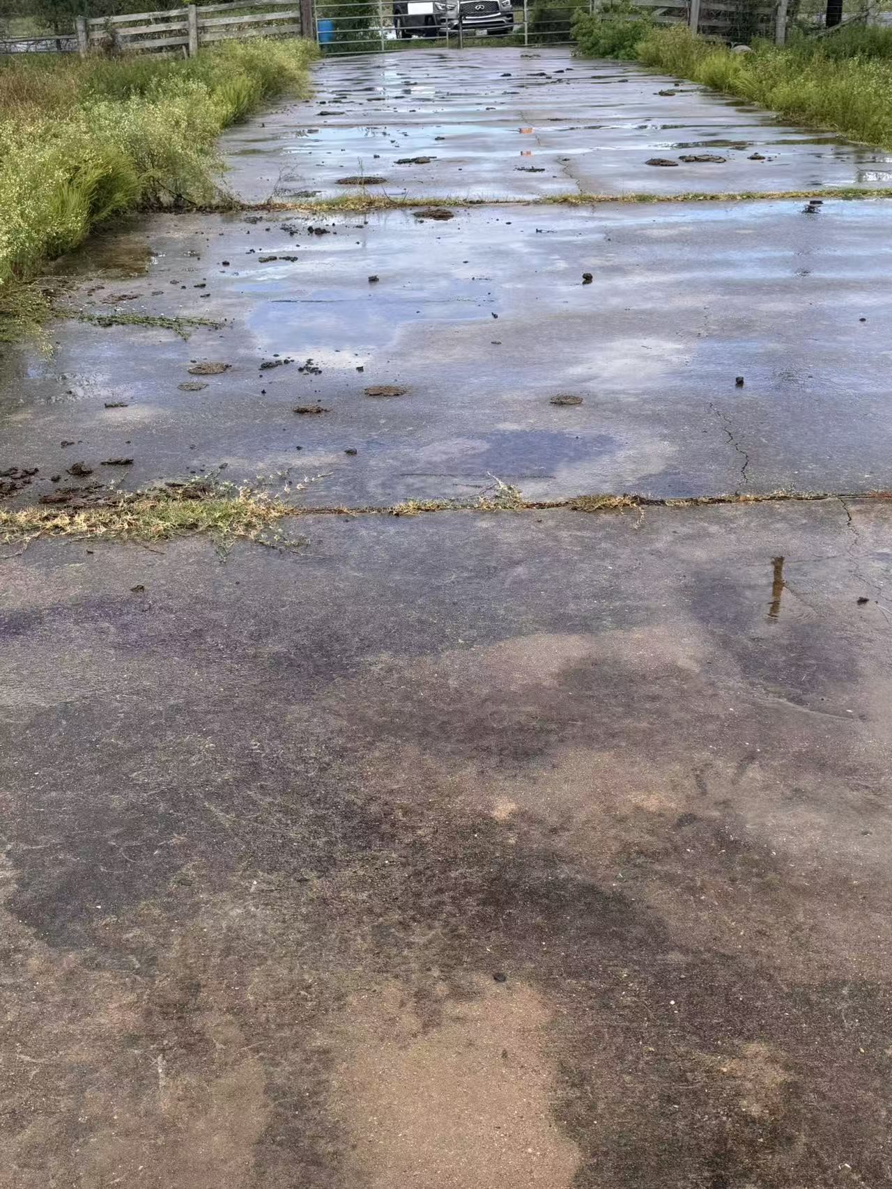 0 Fm 521 Highway North Rosharon, TX 77583 - Photo 10 of 24 a view of a dry yard with wooden floor