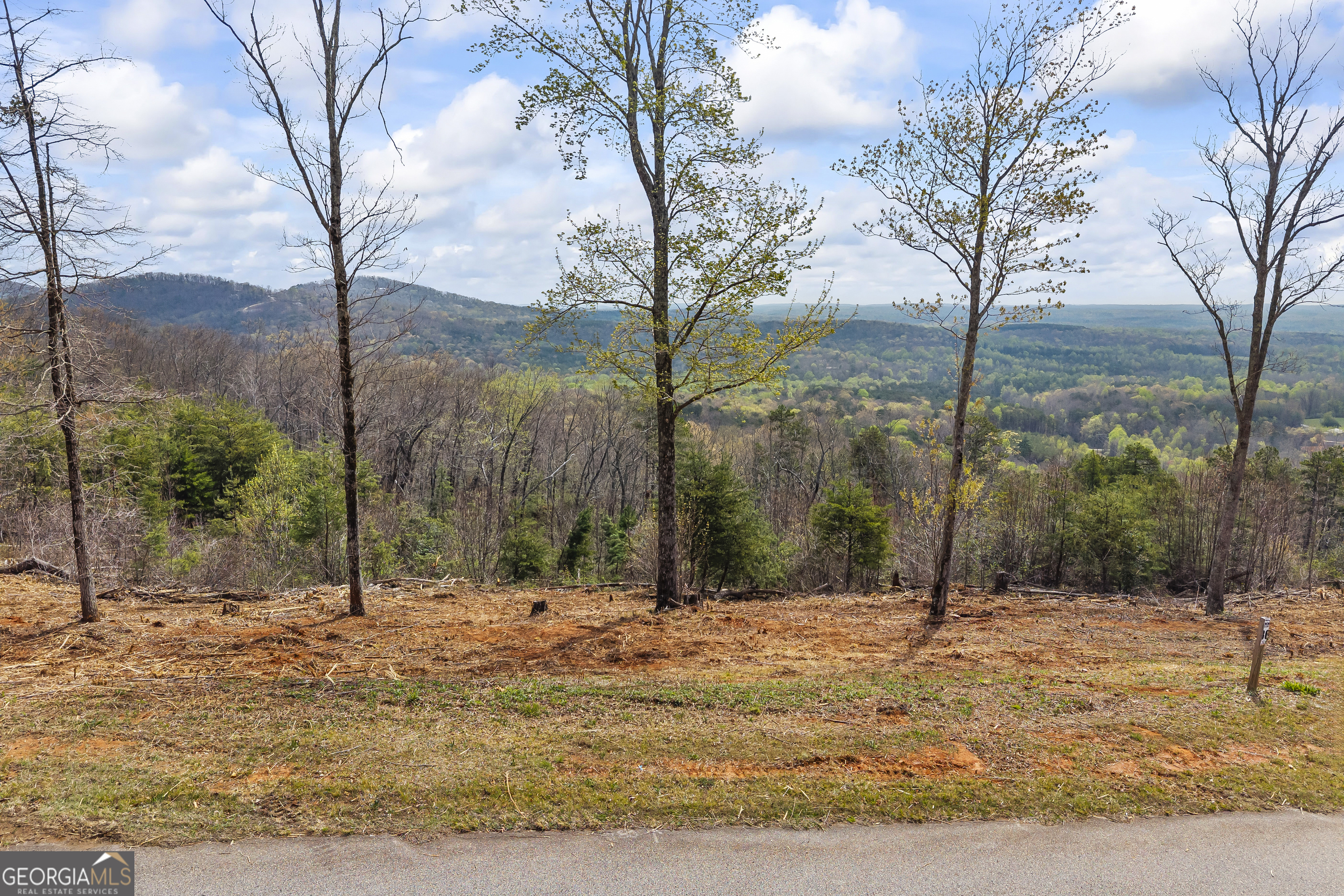 Lot 36 Mountain Ridge Drive Clarkesville, GA 30523 - Photo 25 of 53