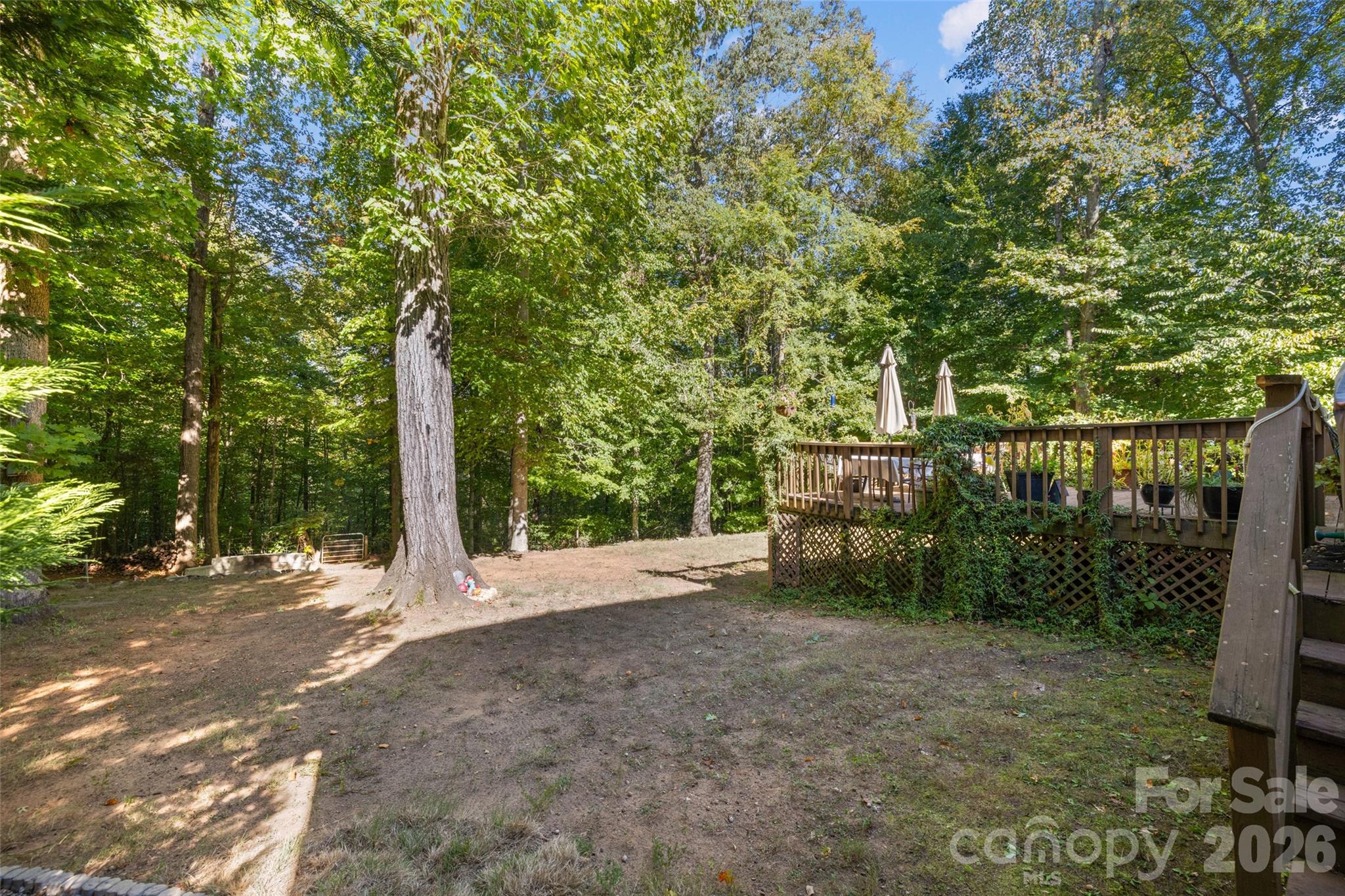 1326 Clifflure Lane Fort Mill, SC 29708 - Photo 38 of 46 a view of a house with backyard and trees