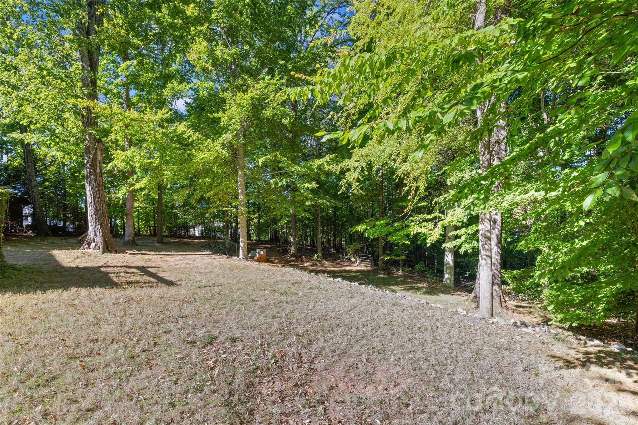 1326 Clifflure Lane Fort Mill, SC 29708 - Photo 40 of 46 a view of a field with trees in the background