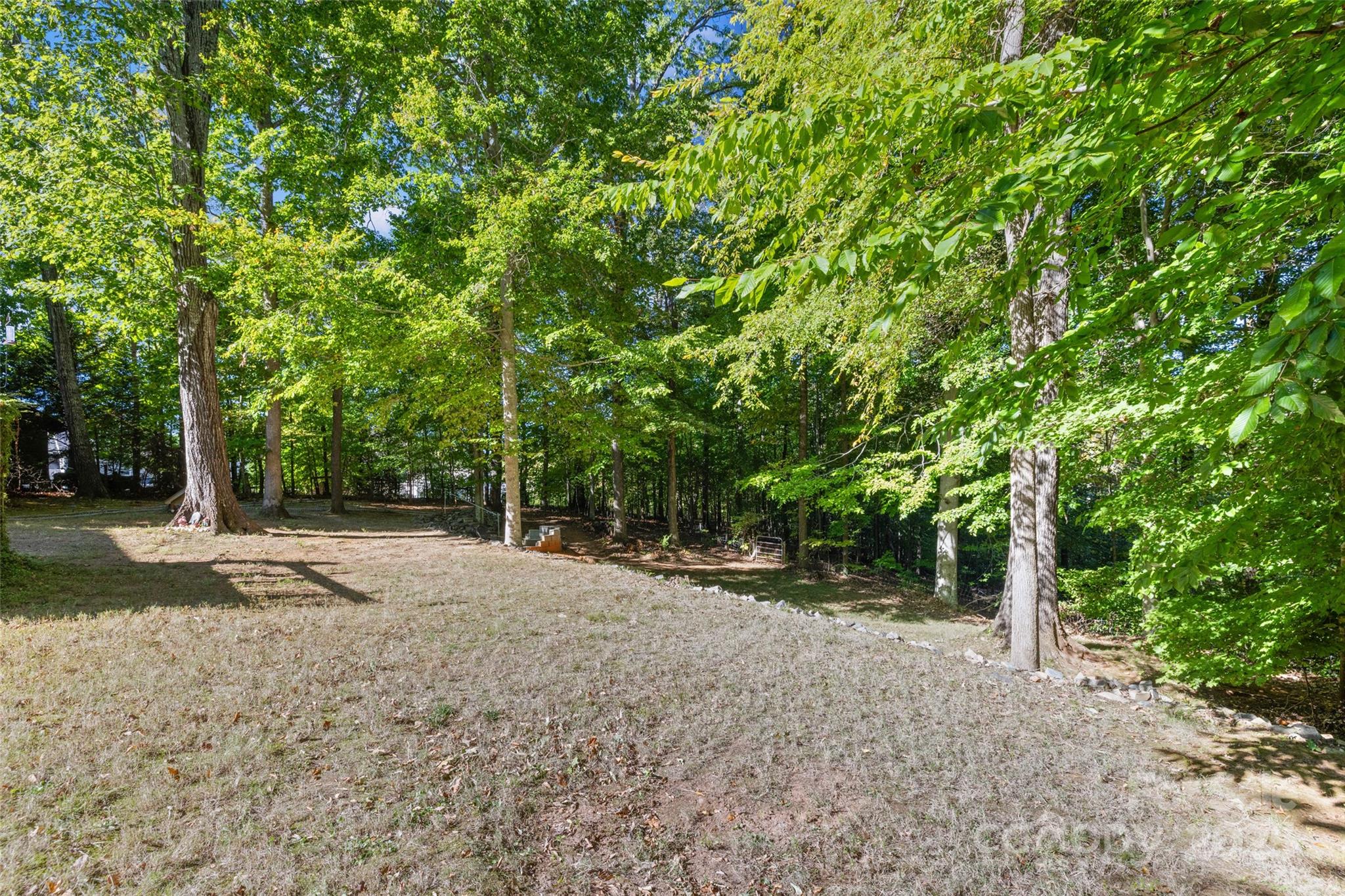 1326 Clifflure Lane Fort Mill, SC 29708 - Photo 41 of 47 a view of a field with trees in the background