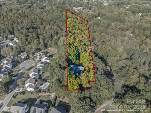 a view of a yard with plants