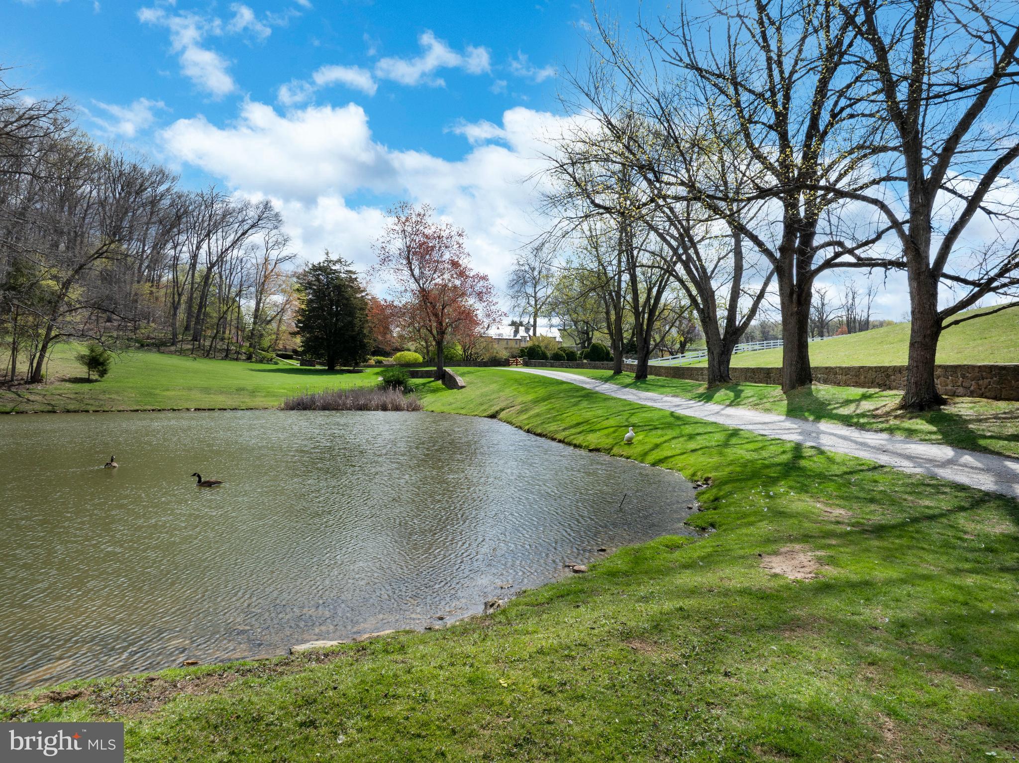 9981 Douglas Road Felton, PA 17322 - Photo 13 of 87 Property pond