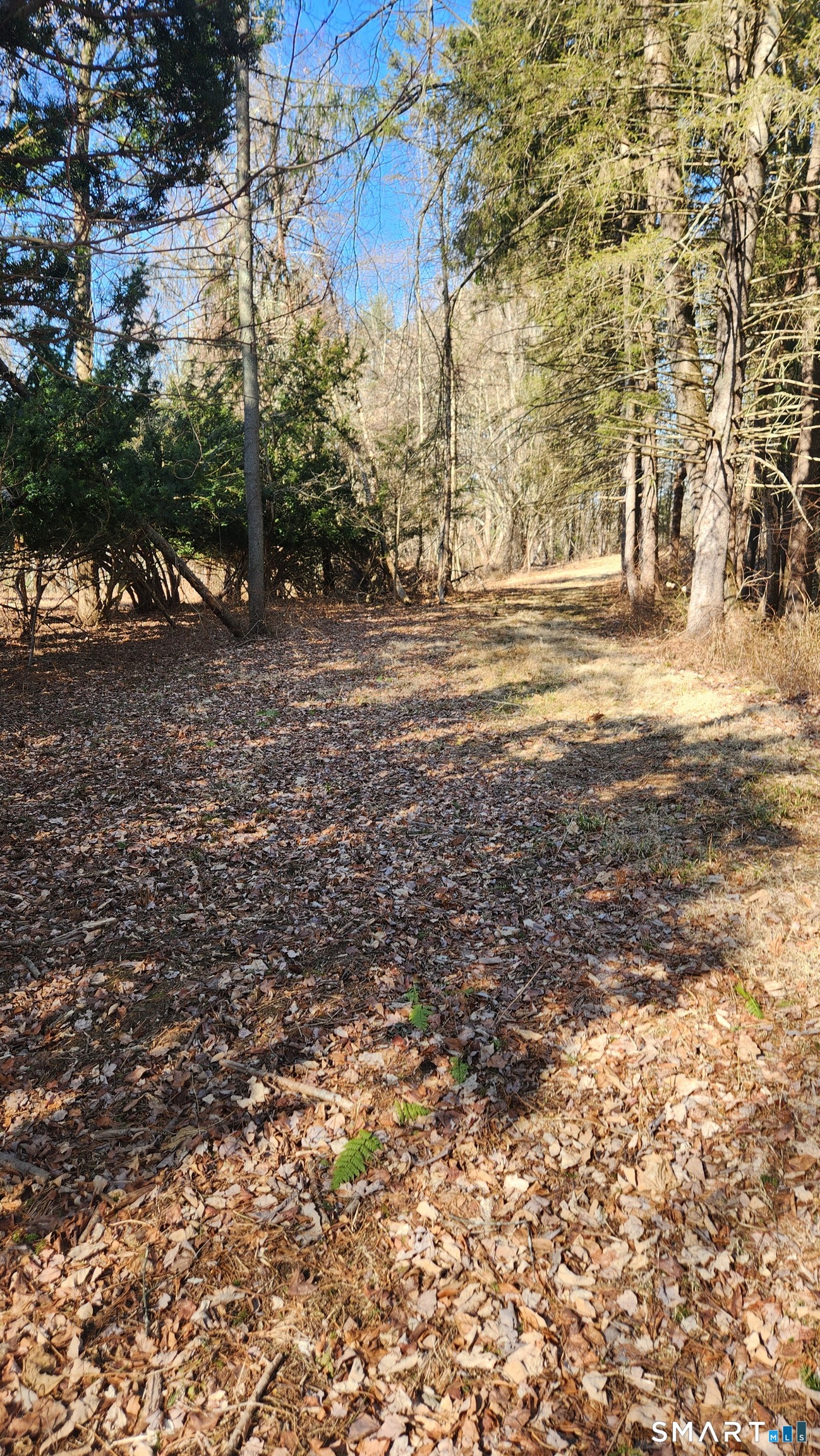 4 Rye Street East Windsor, CT 06016 - Photo 4 of 8 Gallery Image 4