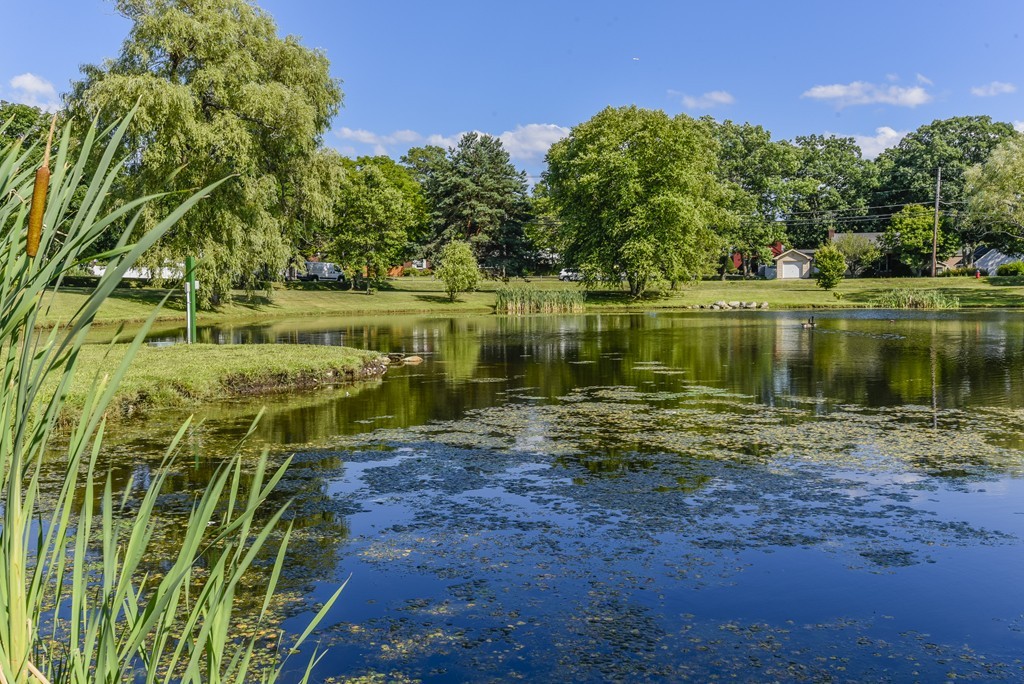 83 Bruce Road Walpole, MA 02081 - Photo 15 of 17 Gallery Image 15