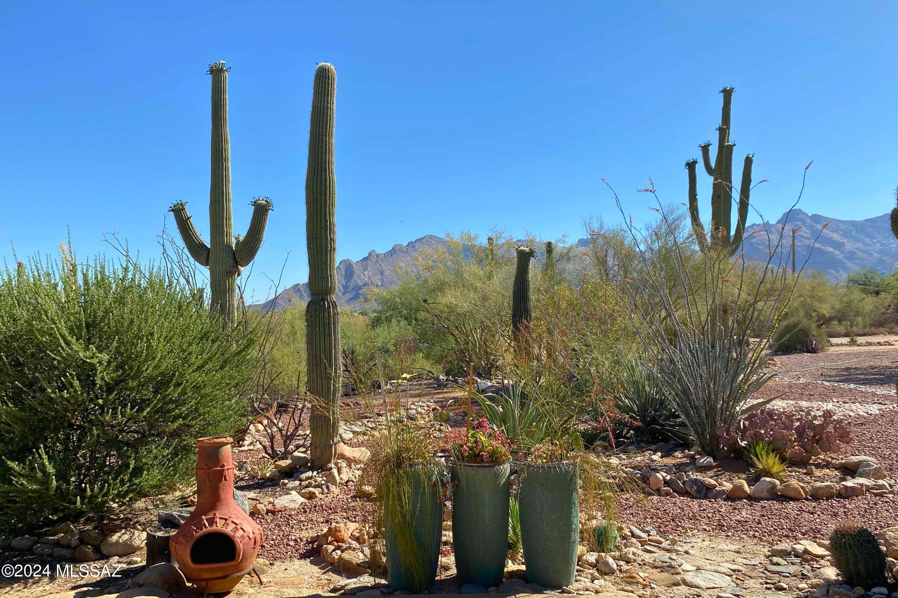 111-101 East Rudasill Road Tucson, AZ 85704 - Photo 21 of 41