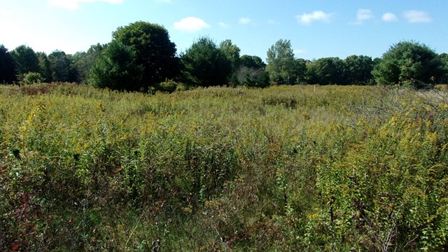 0 Little Hickory Road Tionesta, PA 16353 - Photo 1 of 1 Main View