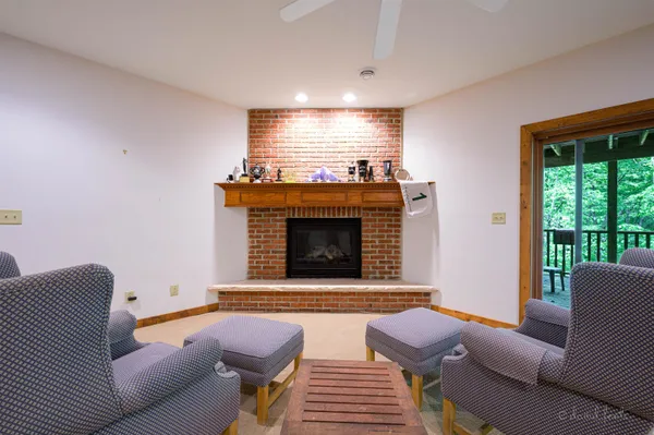 a view of a park that has large trees