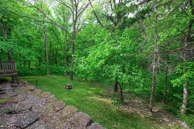 a view of a park with large trees
