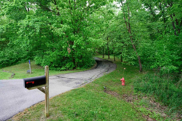 a backyard of a house with plants and large trees