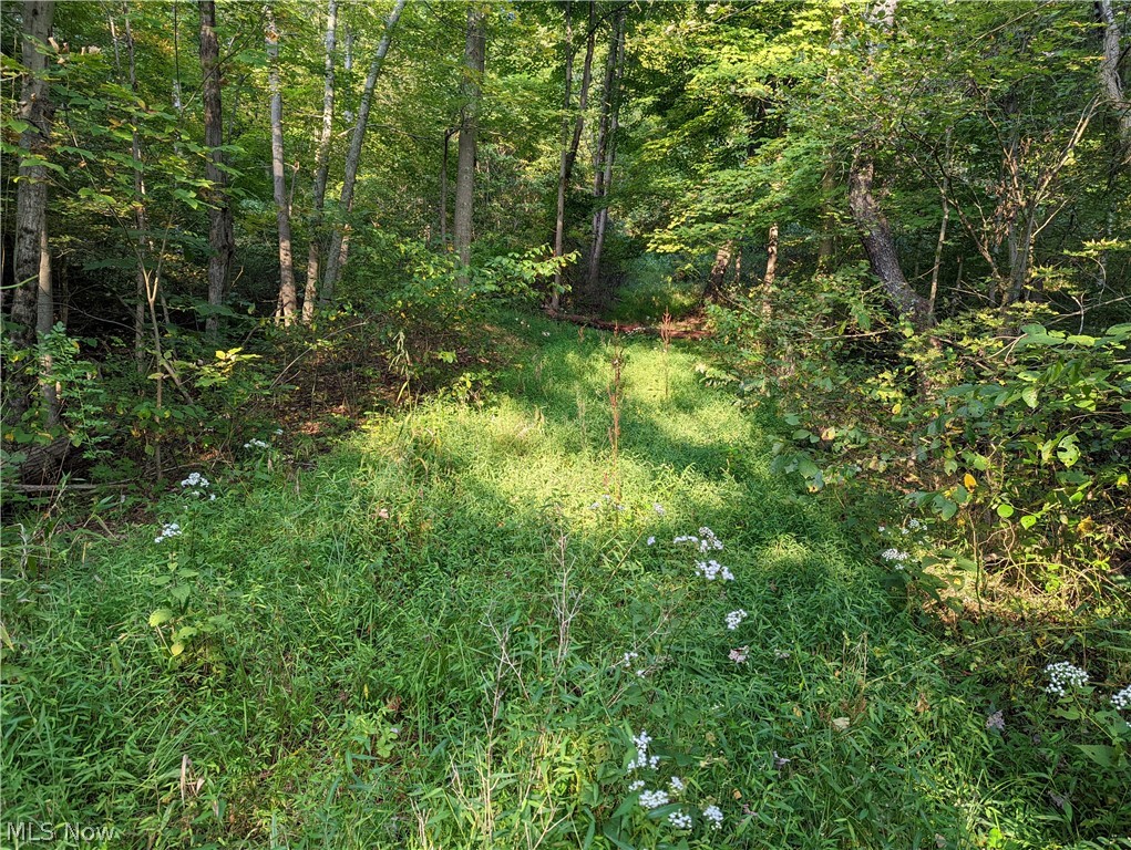 Wegee Road Shadyside, OH 43947 - Photo 6 of 16