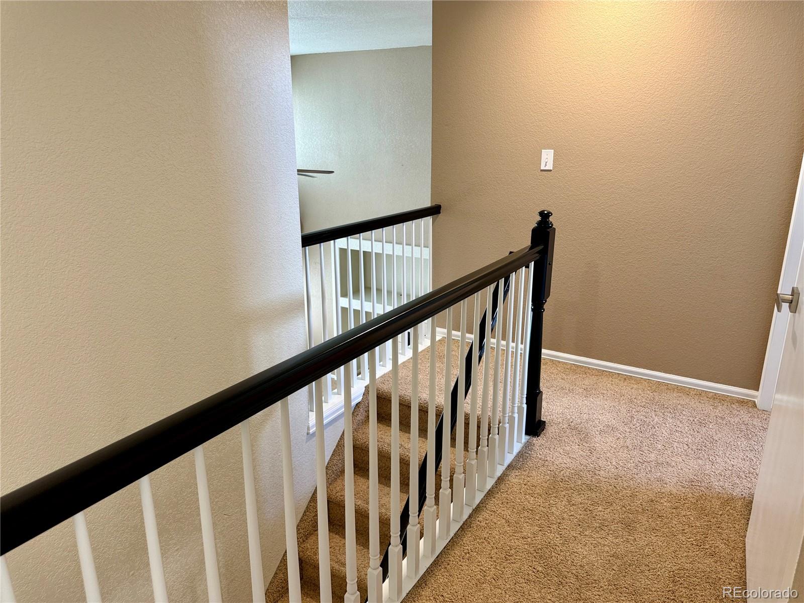 3445 Starflower Road Castle Rock, CO 80109 - Photo 12 of 40 Gallery Image 12