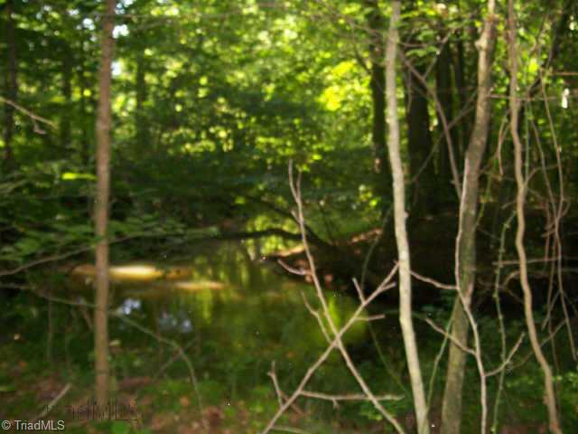 1456 Sisk Road Danbury, NC 27016 - Photo 3 of 9 Other.