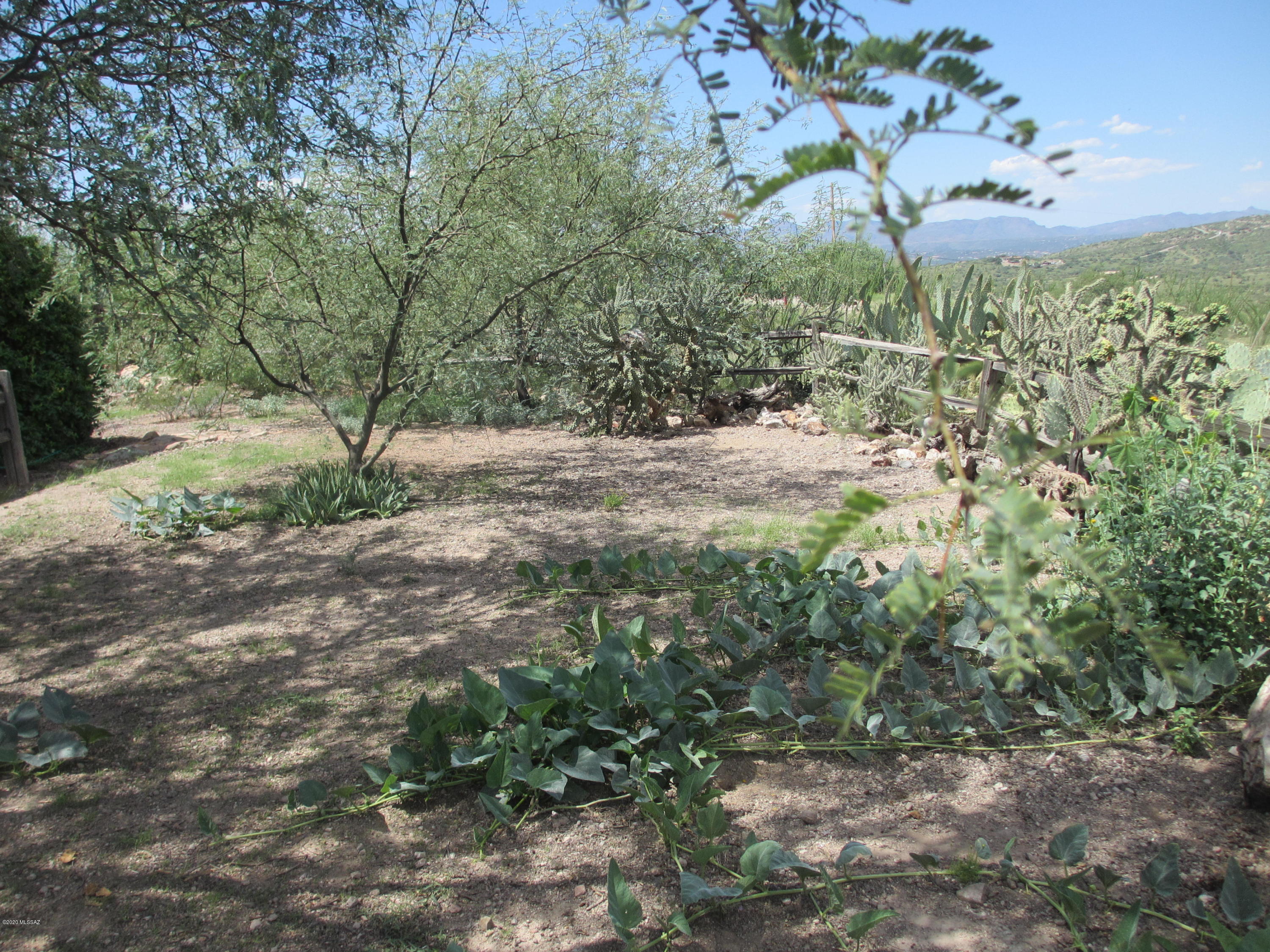 1072 Paseo Guebabi Rio Rico, AZ 85648 - Photo 23 of 35