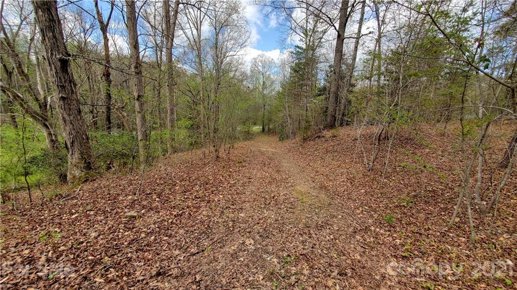 398 Foster Lake Road Blacksburg, SC 29702 - Photo 1 of 10 a view of a yard with large trees