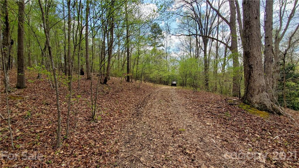 398 Foster Lake Road Blacksburg, SC 29702 - Photo 2 of 10 a view of a forest filled with trees