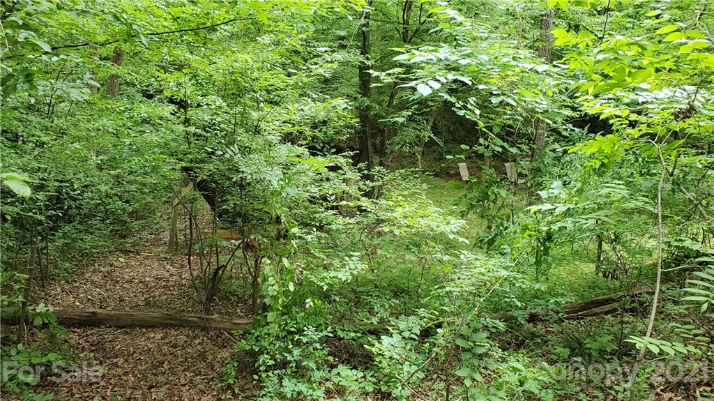 398 Foster Lake Road Blacksburg, SC 29702 - Photo 4 of 10 a view of a lush green forest