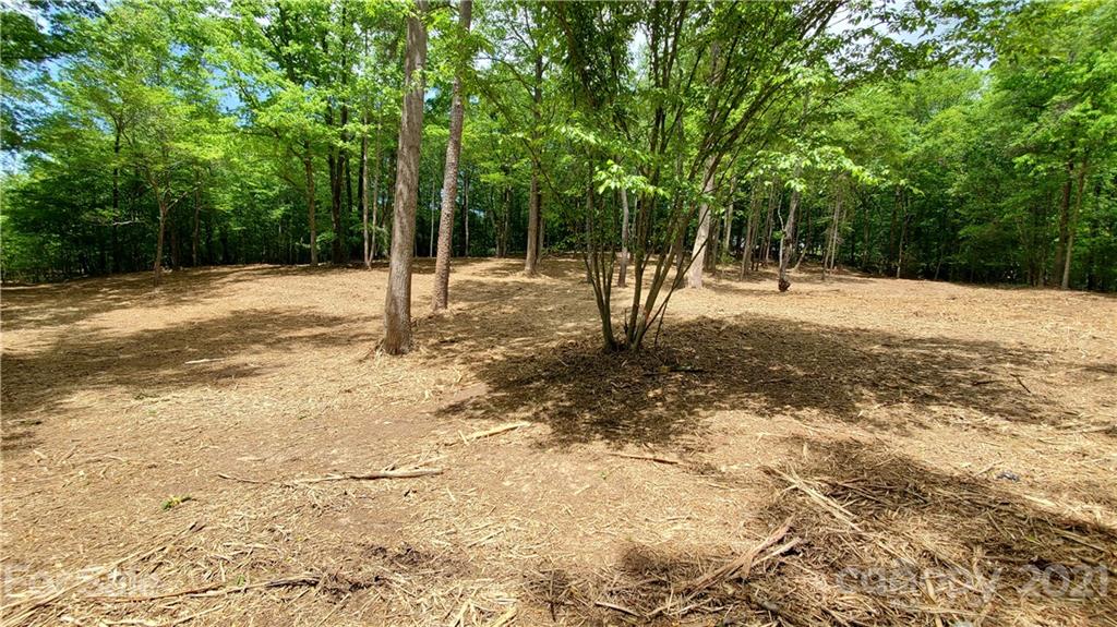 398 Foster Lake Road Blacksburg, SC 29702 - Photo 6 of 10 a backyard of a house with large trees