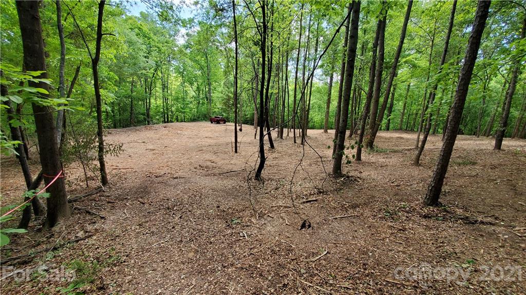 398 Foster Lake Road Blacksburg, SC 29702 - Photo 7 of 10 a view of outdoor space with lots of trees