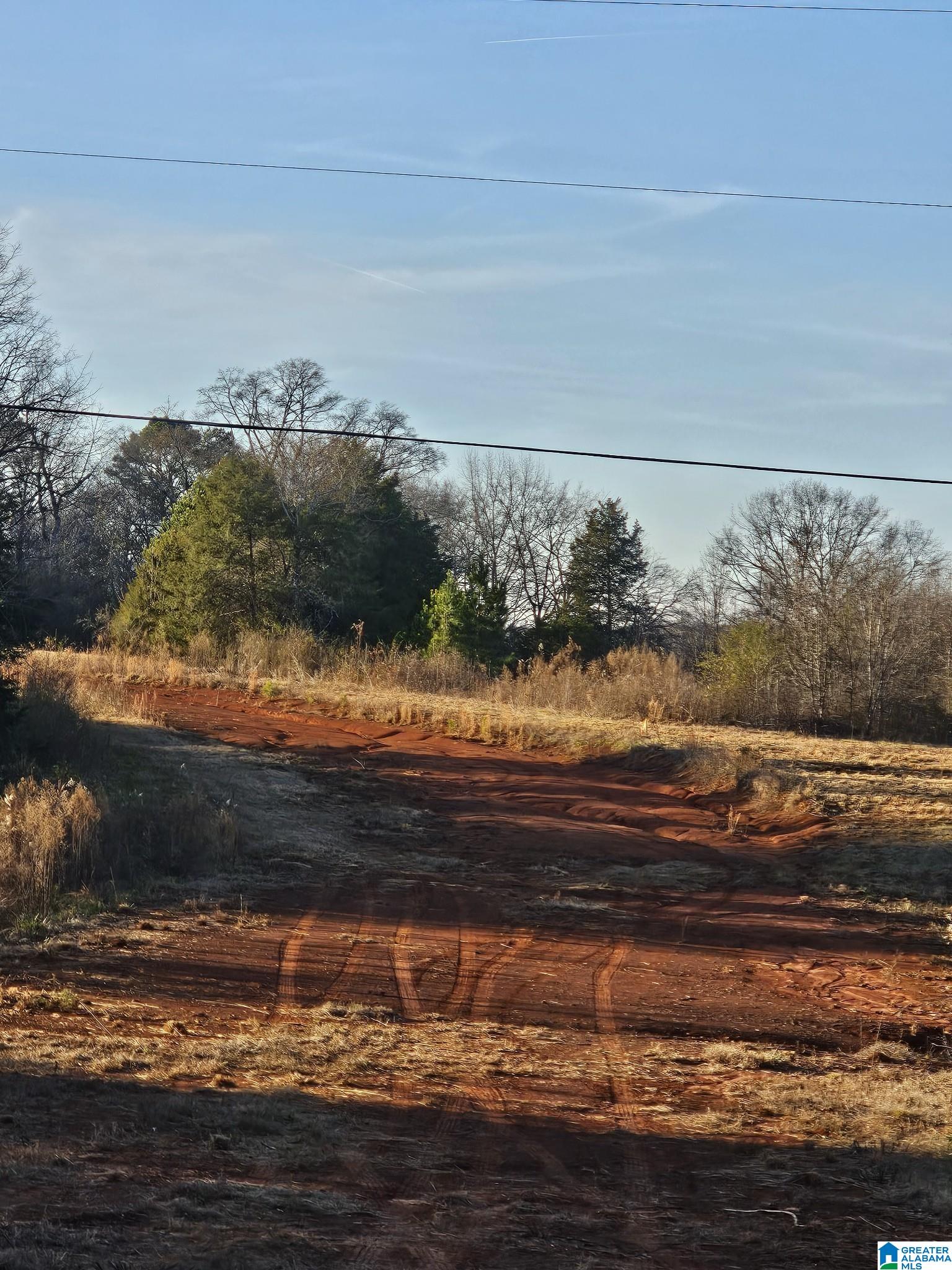 0 Peaceful Valley Road Eastaboga, AL 36260 - Photo 11 of 15