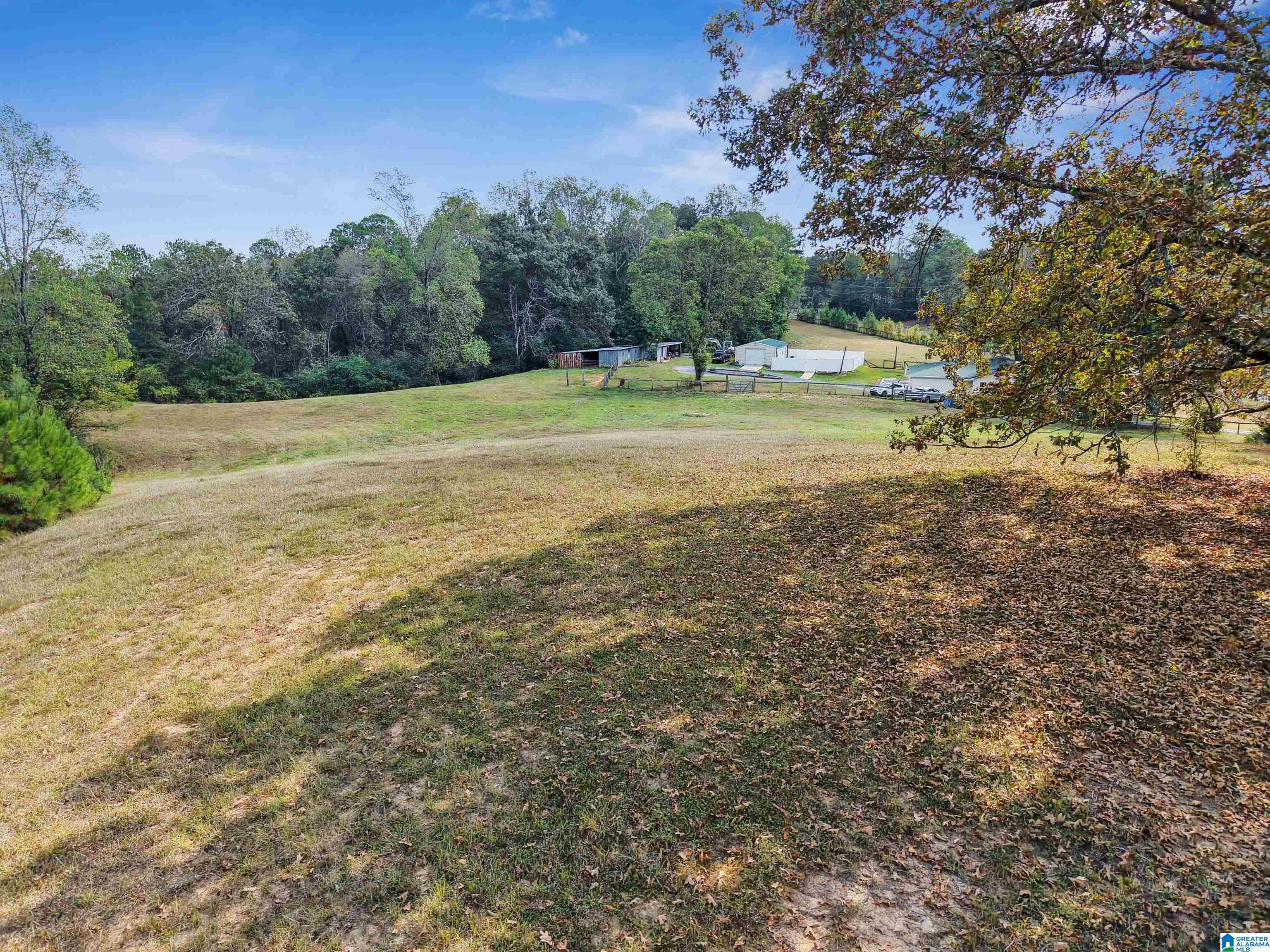 1133 Buddy Vines Camp Road Bessemer, AL 35023 - Photo 49 of 58 Gallery Image 49
