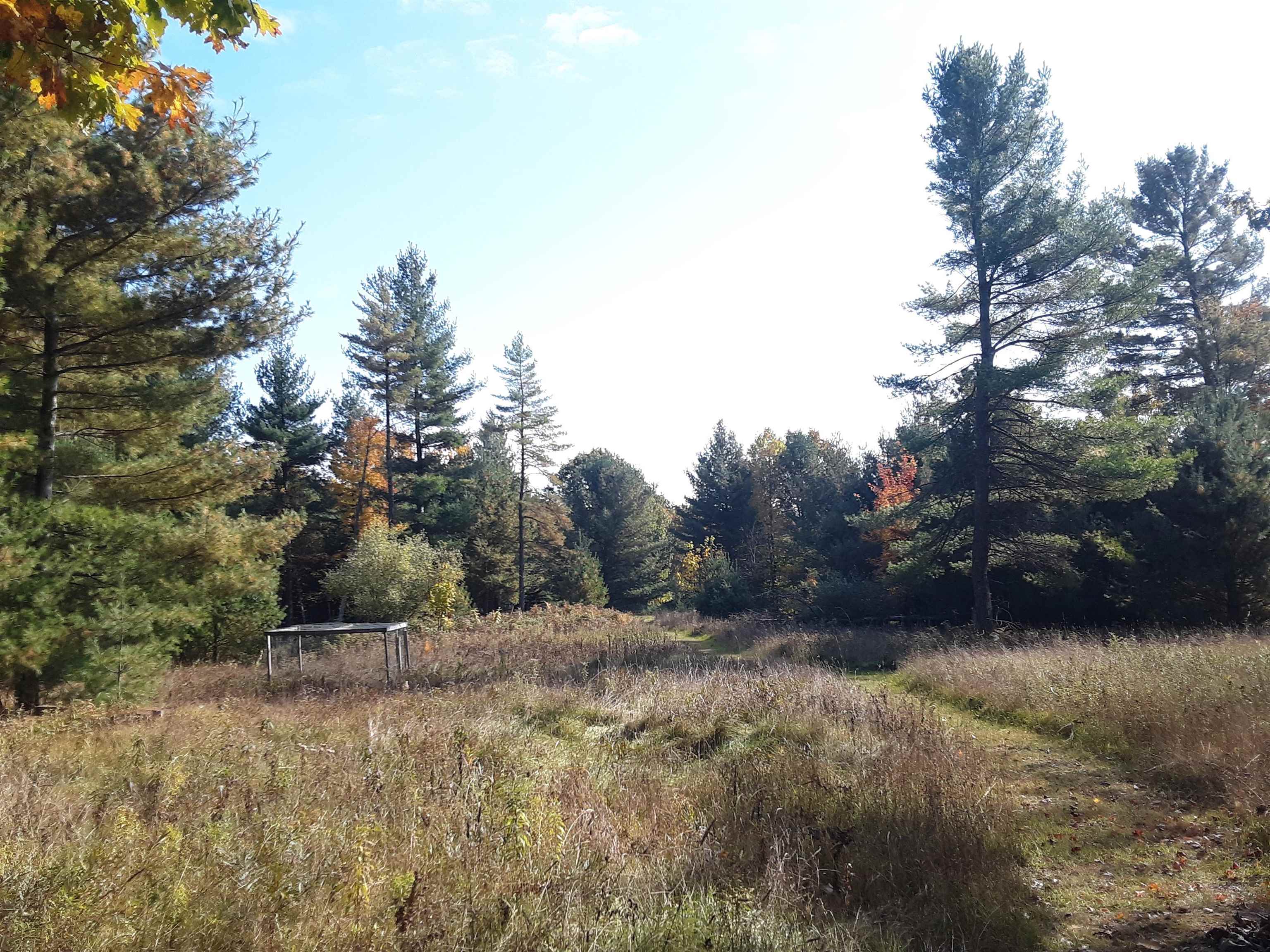 North Everett Road Harrisville, MI 48740 - Photo 13 of 62 Gallery Image 13