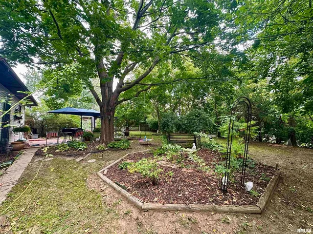a view of a backyard with large trees