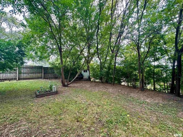 a view of a backyard with large trees