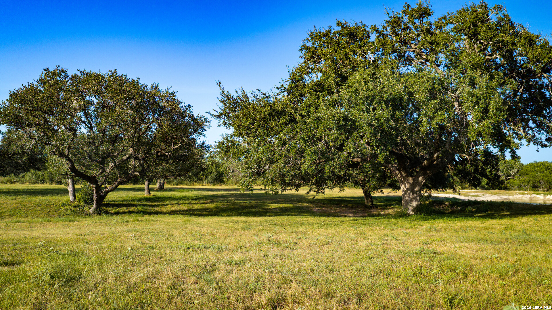 1703 FM 885 Road Runge, TX 78151 - Photo 37 of 41