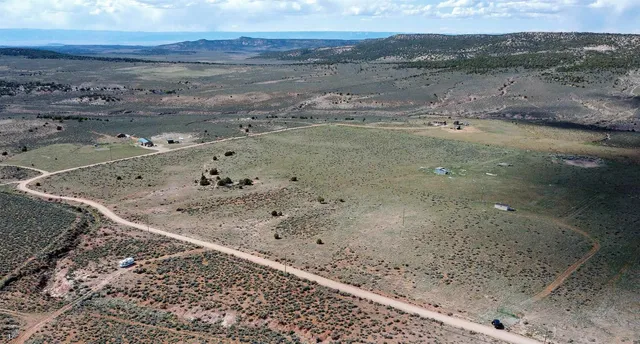 a view of a dry yard with wooden fence