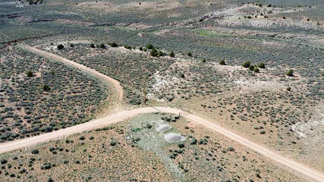 a view of a yard with wooden fence