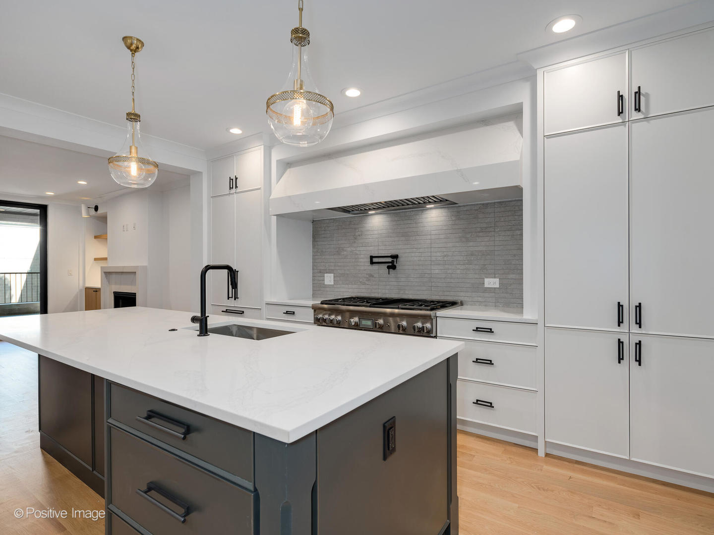 646 West Webster Avenue, Unit 1 Chicago, IL 60614 - Photo 3 of 11 a kitchen that has a sink a stove and a wooden floor