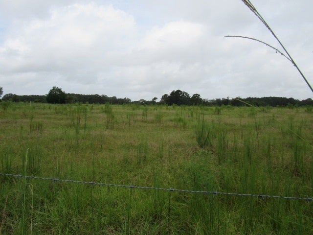0 Race Tract Road Florala, AL 36442 - Photo 1 of 3 Gallery Image 1
