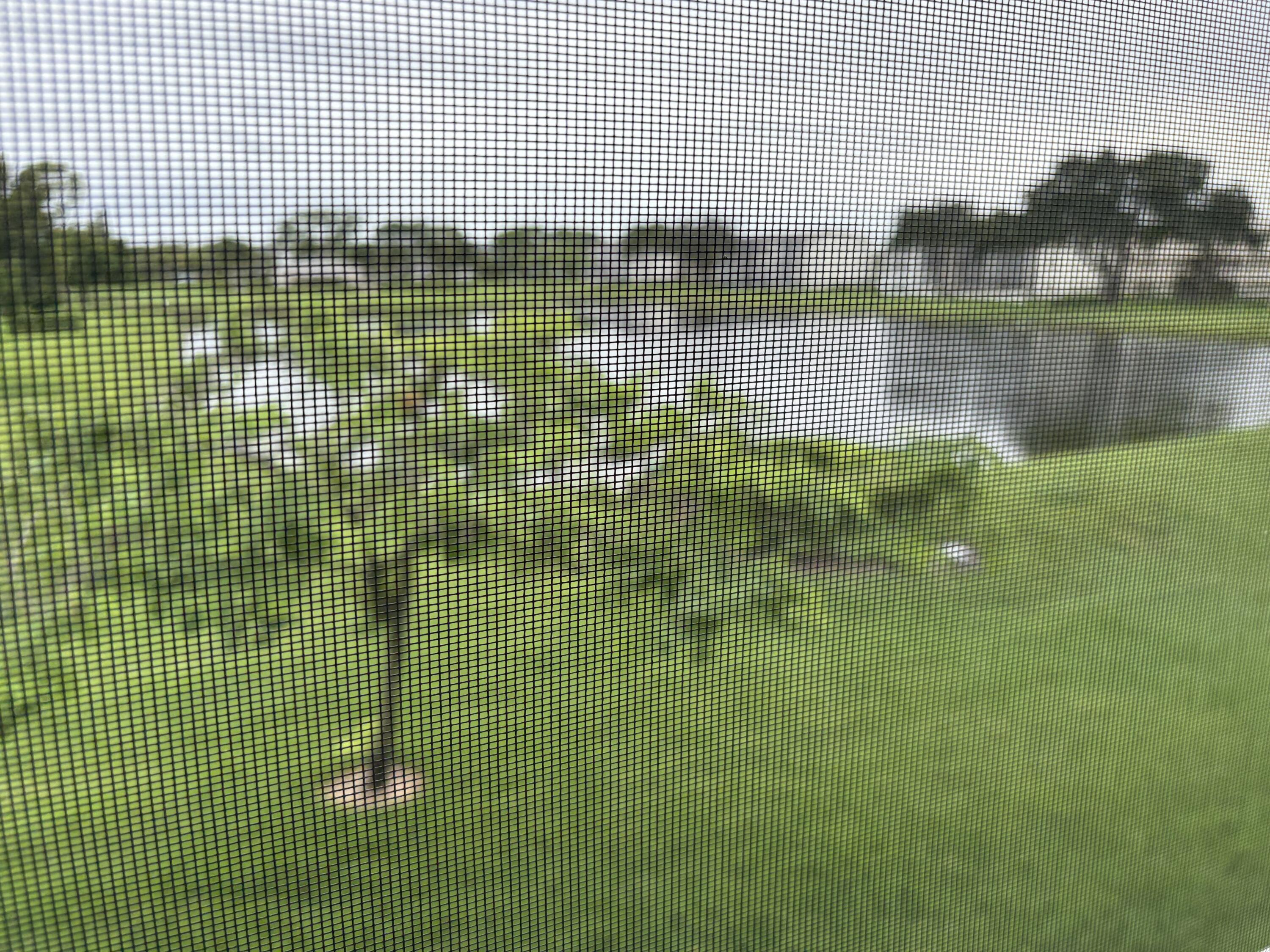 314 Preston H Boca Raton, FL 33434 - Photo 14 of 16 IMG_0705