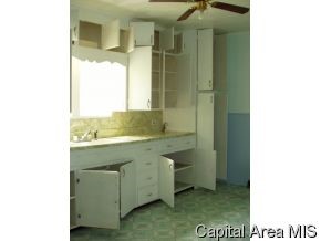121 Orr Street Roodhouse, IL 62082 - Photo 3 of 5