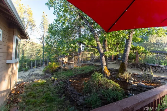 a view of a garden with plants