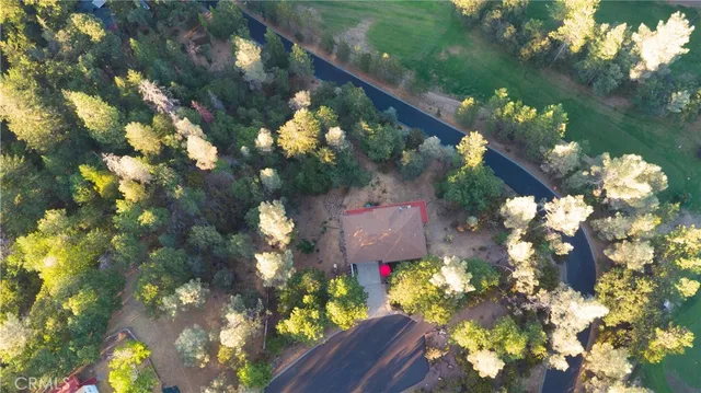 a picture of flowers