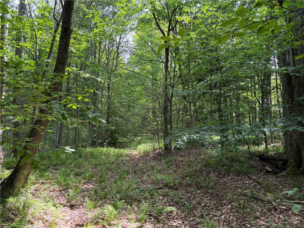 Vl 106 Road Alma, NY 14708 - Photo 20 of 36 Gallery Image 20