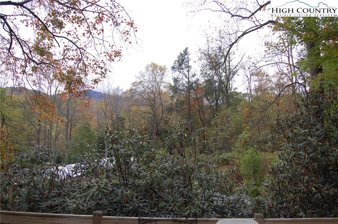 245 Yosemite Road Banner Elk, NC 28604 - Photo 15 of 21 Gallery Image 15