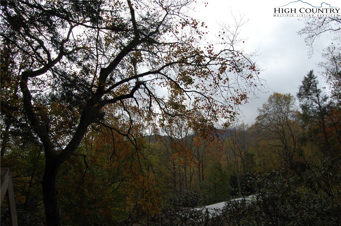 245 Yosemite Road Banner Elk, NC 28604 - Photo 3 of 21 Gallery Image 3