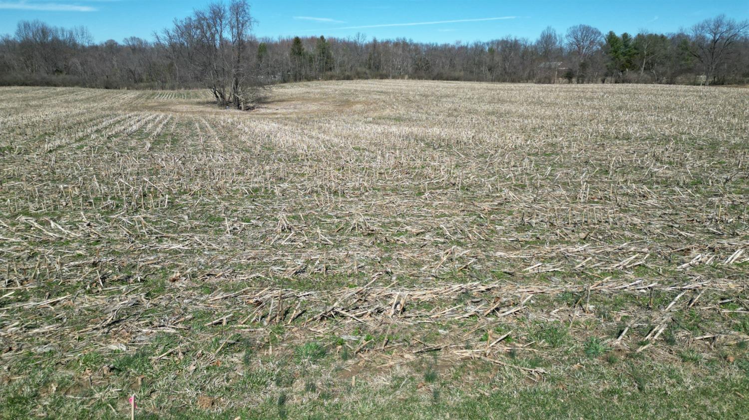 0 Osborne Road Brookville, IN 47012 - Photo 13 of 17